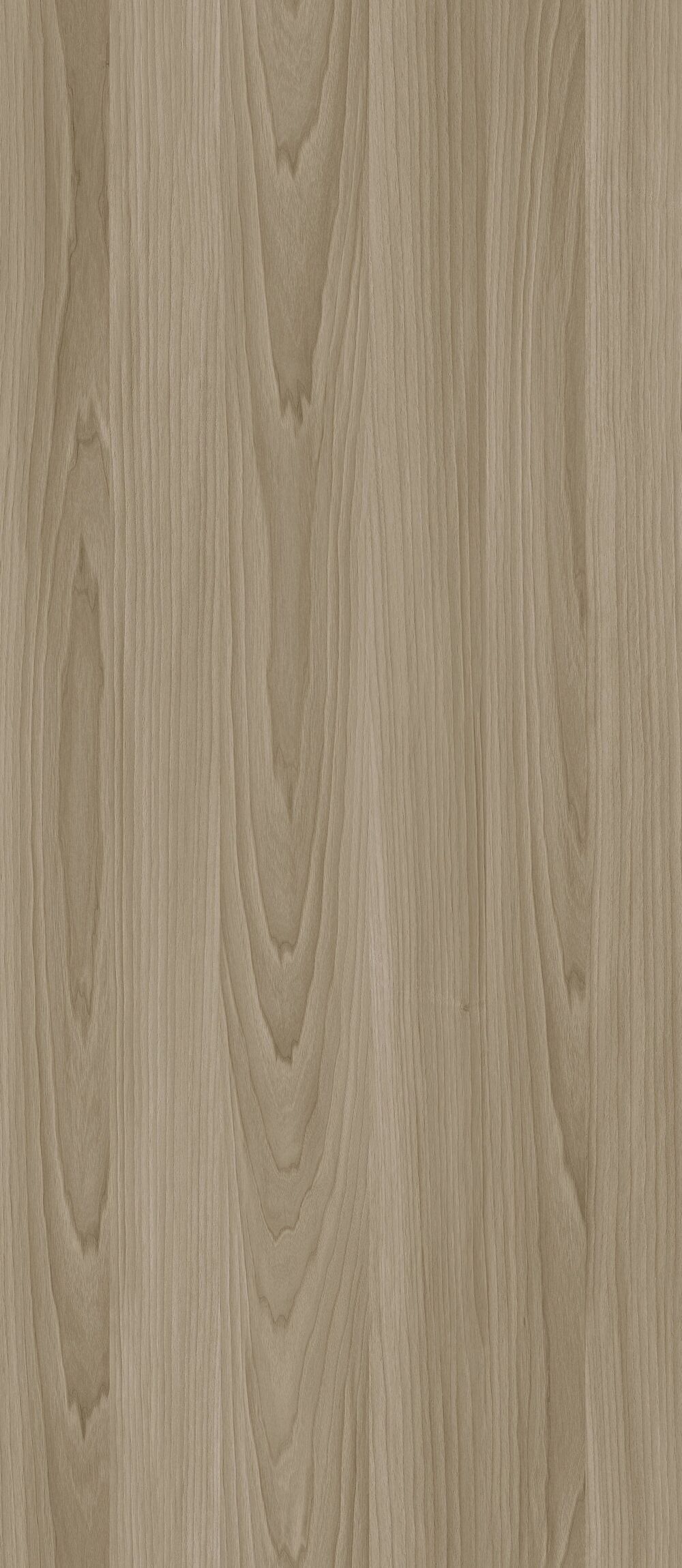 YDHTB1222 拉齐奥胡桃